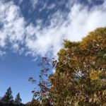 歯の定期検診に行ってきました：2017年12月20日のトレード練習日誌