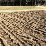 テレビを観ながら作業したい：2017年12月21日のトレード練習日誌