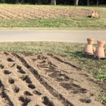 立ち止まって考えるのも悪くない：2017年12月19日のトレード練習日誌