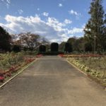 100円ショップ恐るべし：2017年12月24日のトレード練習日誌